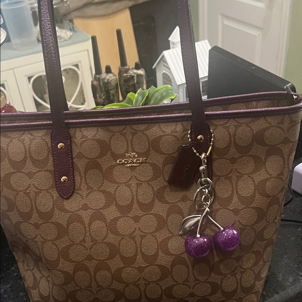 Coach Brown And Metallic Purple City Zip Tote